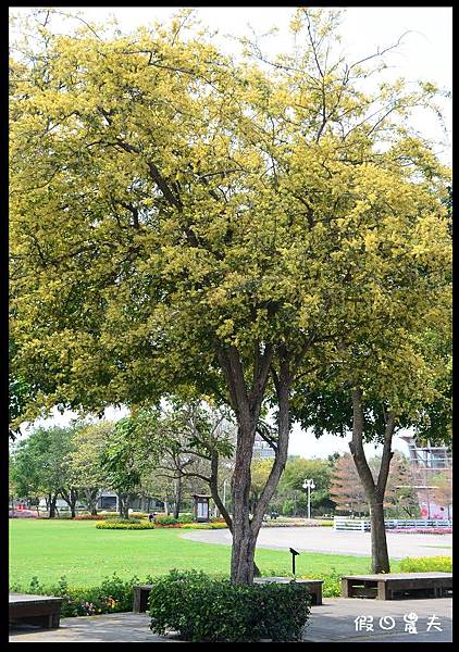 溪州公園DSC_2474