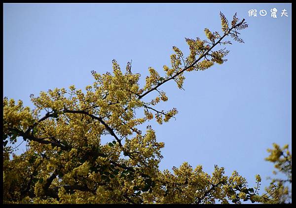 溪州公園DSC_2478