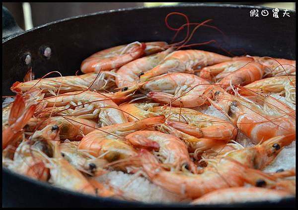 冏男養蝦DSC_3192 冏男養蝦DSC_3192