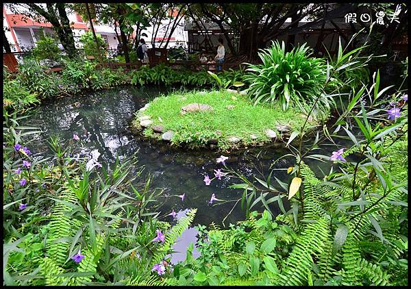 義美DSC_4175 義美DSC_4175