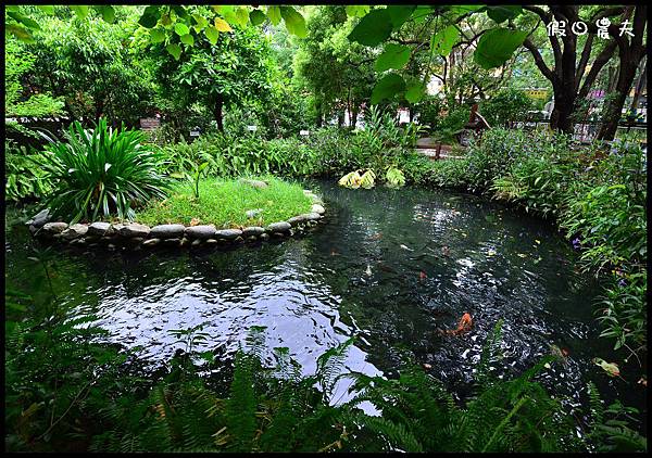 義美DSC_4178 義美DSC_4178