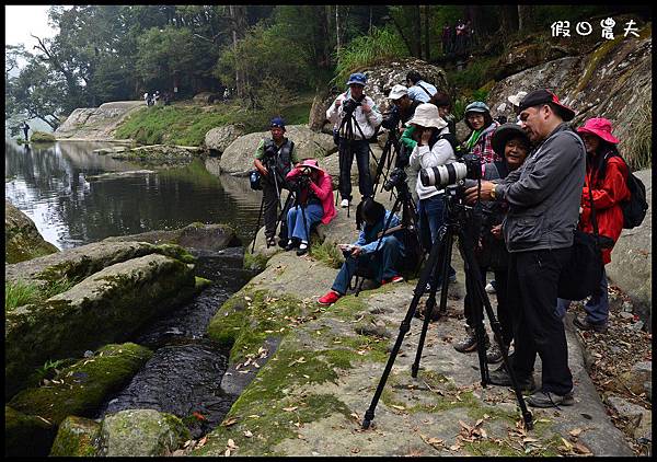 杉林溪DSC_8540 杉林溪DSC_8540