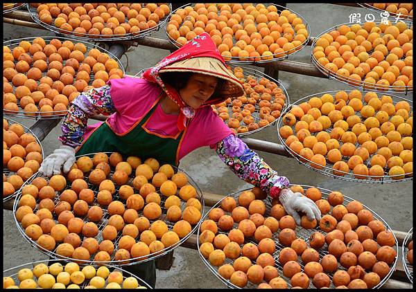新埔柿é¤ 新埔柿餅DSC_5090