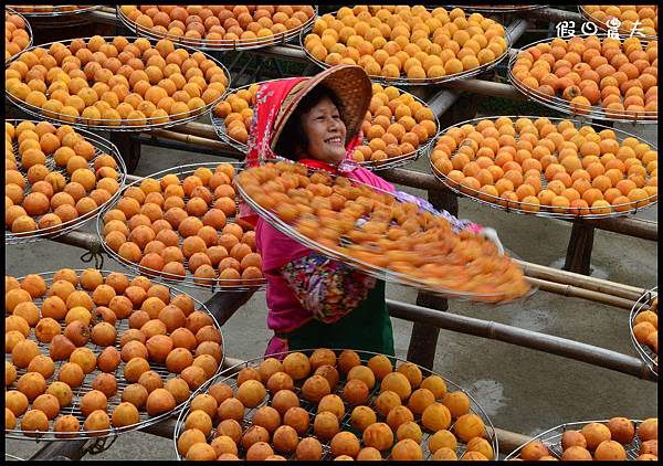 攝影DSC_5101 攝影DSC_5101