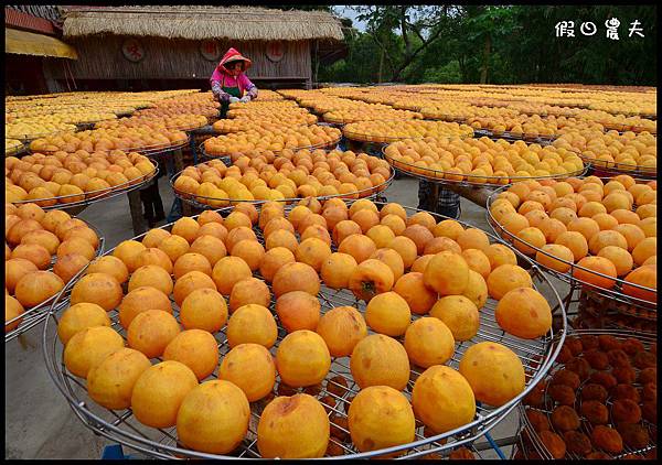 攝影DSC_5174 攝影DSC_5174