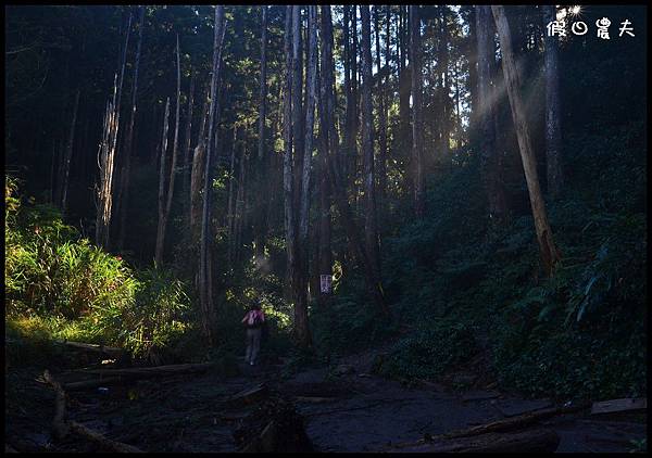 攝影DSC_8392 攝影DSC_8392