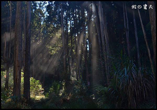 攝影DSC_8414 攝影DSC_8414