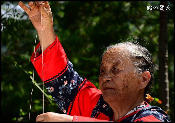 攝影課DSC_4369 攝影課DSC_4369