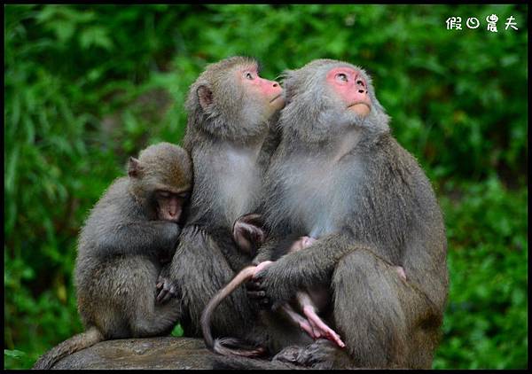 攝影課DSC_5703 攝影課DSC_5703