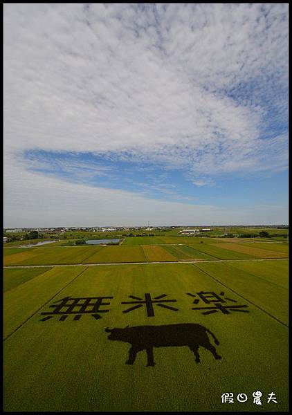 無米樂DSC_0505
