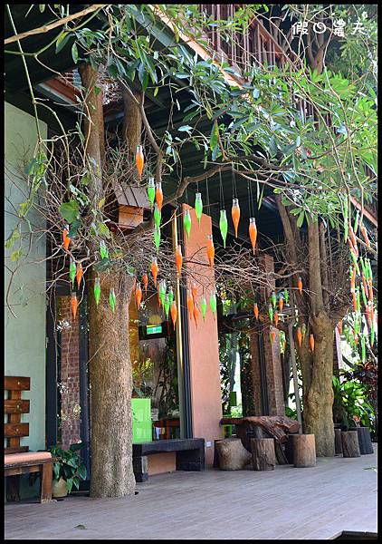 金桔農莊DSC_0274 金桔農莊DSC_0274