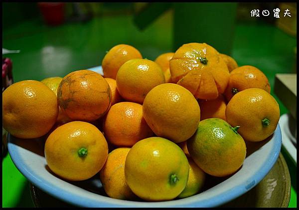 金桔農莊DSC_0298 金桔農莊DSC_0298