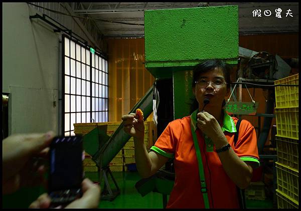 金桔農莊DSC_0296 金桔農莊DSC_0296