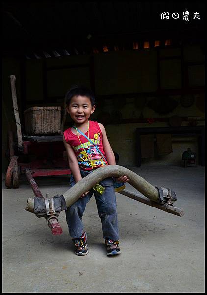 金桔農莊DSC_0379 金桔農莊DSC_0379