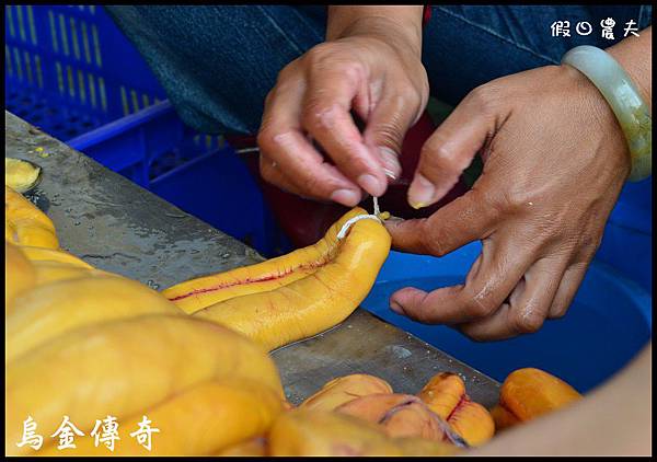 烏魚伯DSC_2752