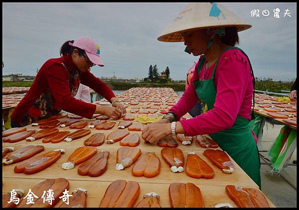 烏魚伯DSC_2584