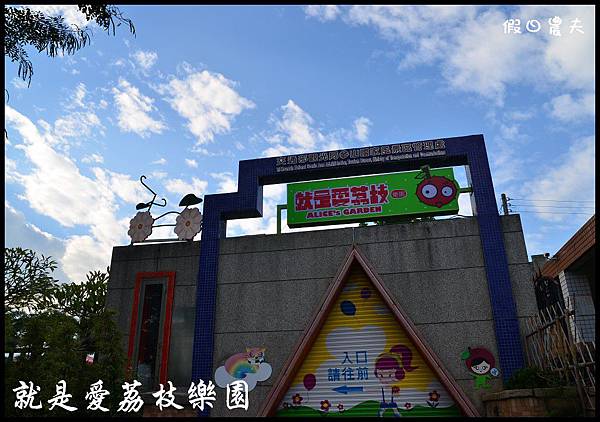 就是愛荔枝DSC_5370 就是愛荔枝DSC_5370