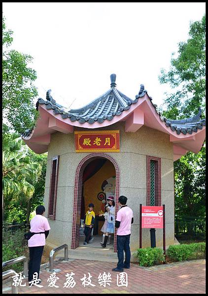 就是愛荔枝DSC_5376 就是愛荔枝DSC_5376