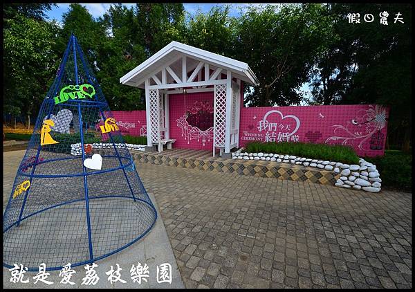 就是愛荔枝DSC_5382 就是愛荔枝DSC_5382