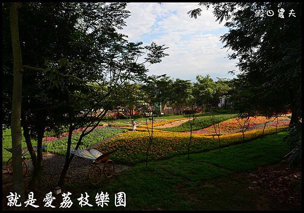 就是愛荔枝DSC_5389 就是愛荔枝DSC_5389