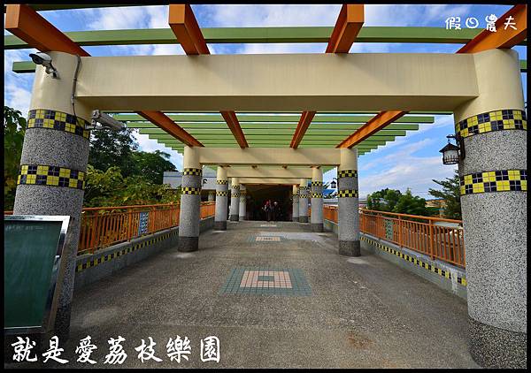 就是愛荔枝DSC_5394 就是愛荔枝DSC_5394