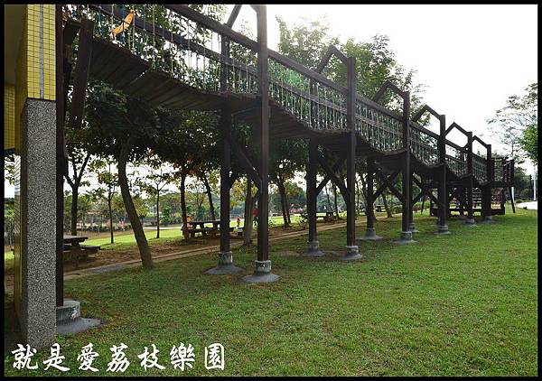 就是愛荔枝DSC_5413 就是愛荔枝DSC_5413