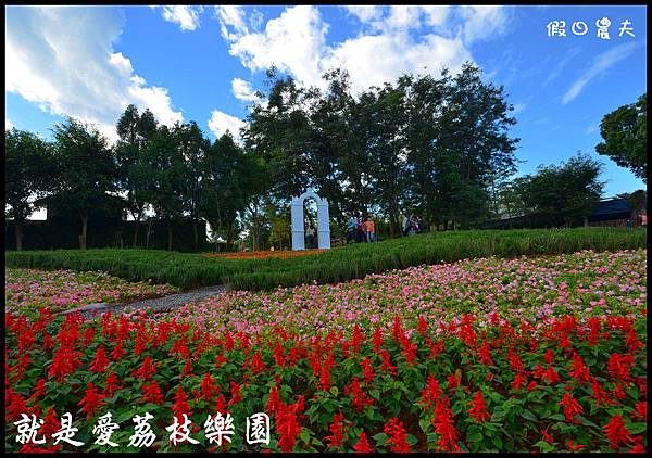 就是愛荔枝DSC_5501 就是愛荔枝DSC_5501