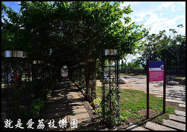 就是愛荔枝DSC_5524 就是愛荔枝DSC_5524