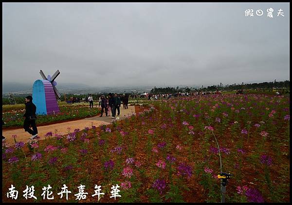 南投花卉嘉年華DSC_6386