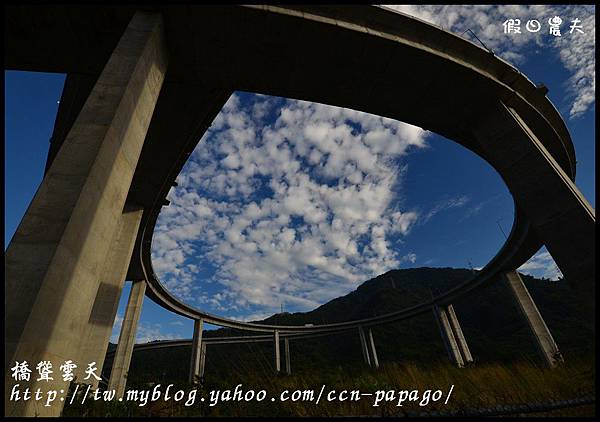 橋聳雲天DSC_7174