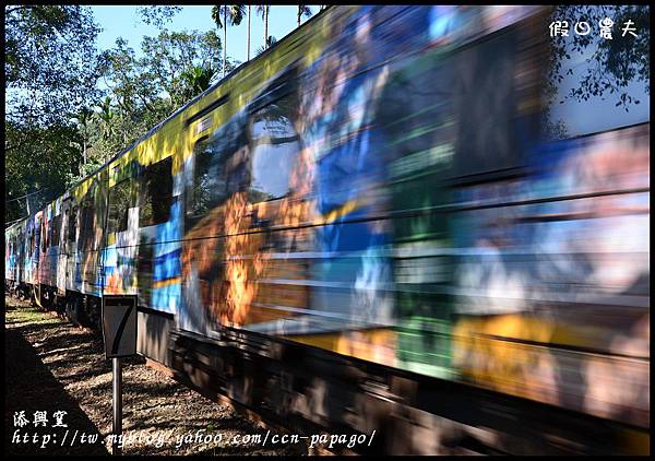 添興窯DSC_8948 添興窯DSC_8948