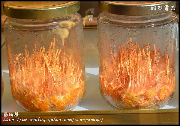 雞é 雞酒棧DSC_8083