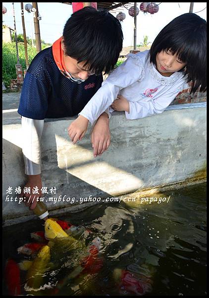 老塘湖渡假村DSC_7246 老塘湖渡假村DSC_7246