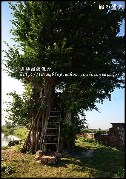 老塘湖渡假村DSC_7294 老塘湖渡假村DSC_7294