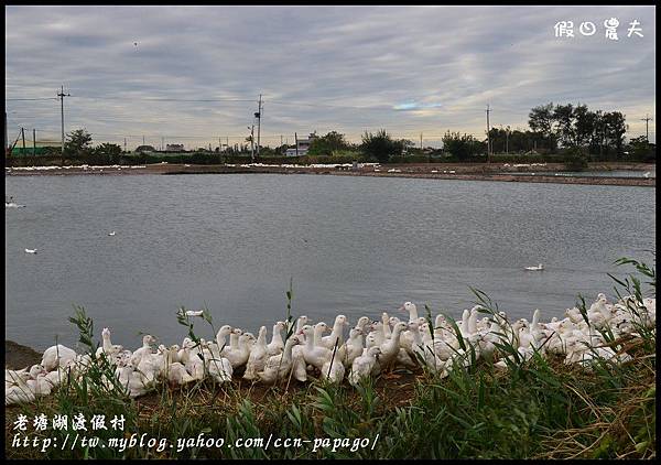 老塘湖渡假村DSC_7480 老塘湖渡假村DSC_7480