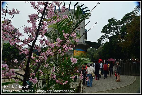 新竹市立動物園DSC_1549