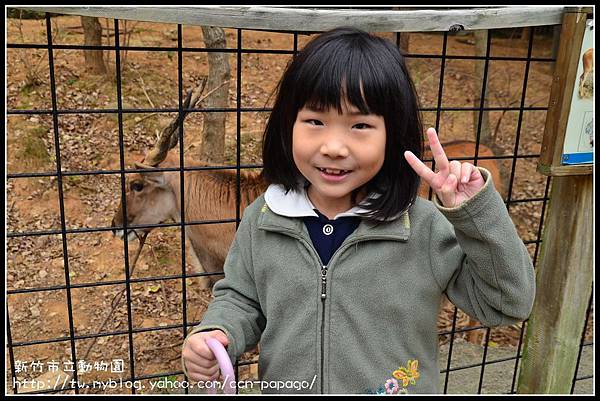 新竹市立動物園DSC_1554