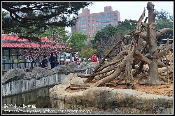 新竹市立動物園DSC_1582