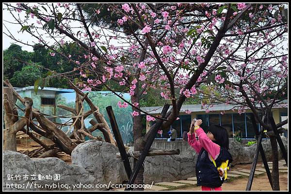 新竹市立動物園DSC_1590