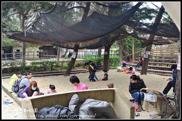 新竹市立動物園DSC_1596