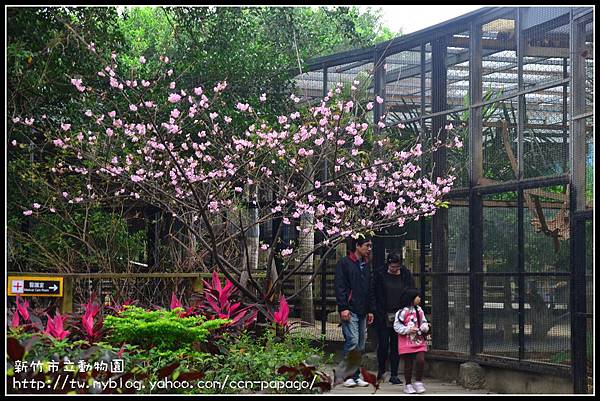 新竹市立動物園DSC_1597