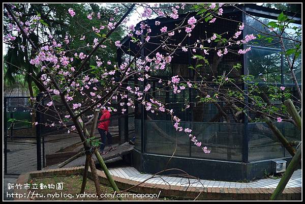 新竹市立動物園DSC_1611