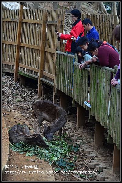 新竹市立動物園DSC_1636