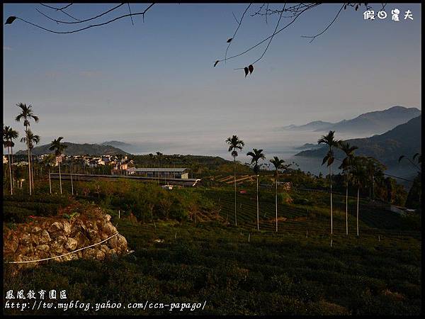 鳳凰教育園區DSC_2820 鳳凰教育園區DSC_2820