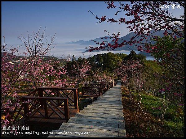 鳳凰教育園區DSC_2829 鳳凰教育園區DSC_2829