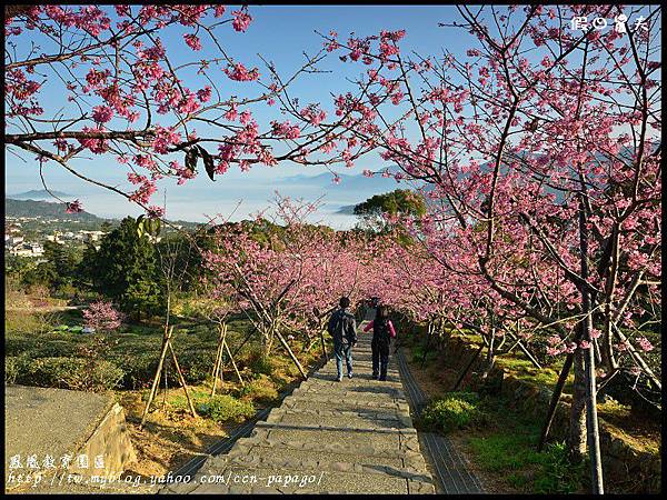 鳳凰教育園區DSC_2846 鳳凰教育園區DSC_2846
