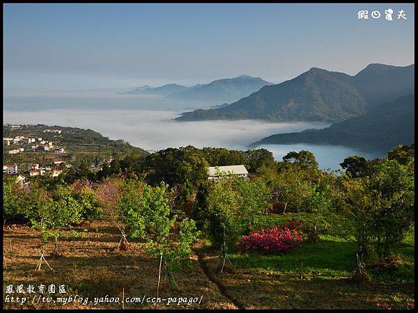 鳳凰教育園區DSC_2855 鳳凰教育園區DSC_2855