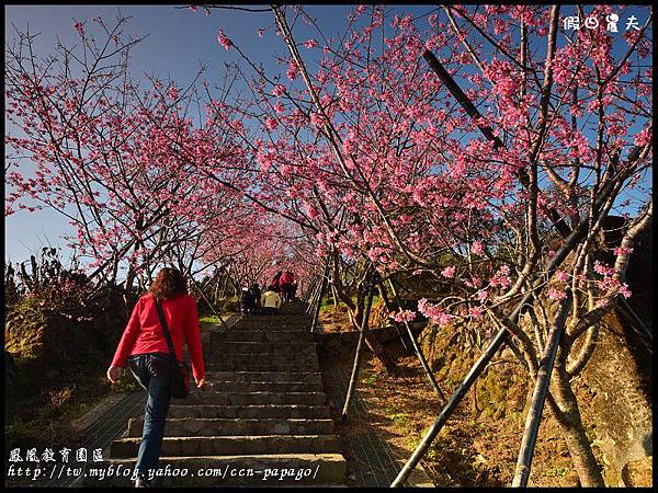 鳳凰教育園區DSC_2874 鳳凰教育園區DSC_2874
