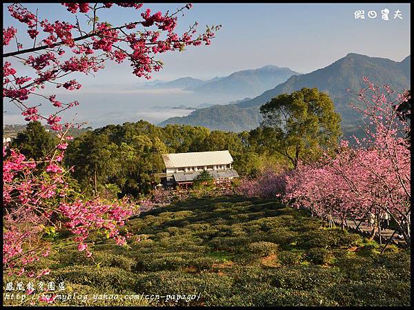 鳳凰教育園區DSC_2883 鳳凰教育園區DSC_2883