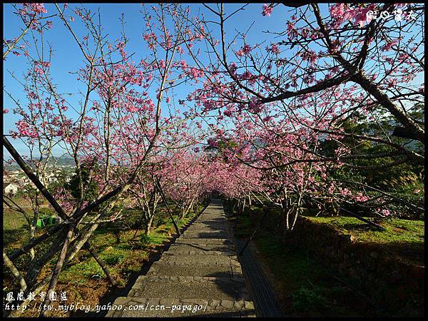 鳳凰教育園區DSC_2885 鳳凰教育園區DSC_2885